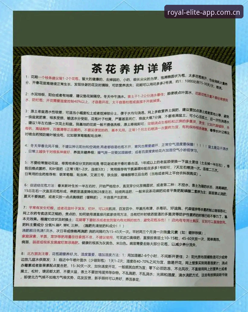 皇家国际每日更新 新手必看!掌握皇家国际每日更新的6个实用技巧